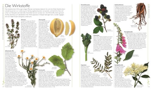 Das große Lexikon der Heilpflanzen Detail