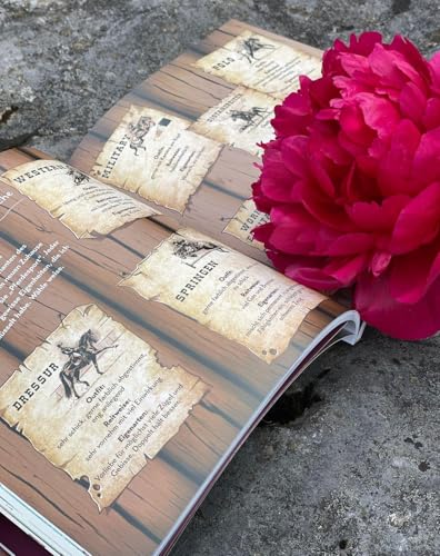 Kein Hufloser ist auch keine Lösung! Detail