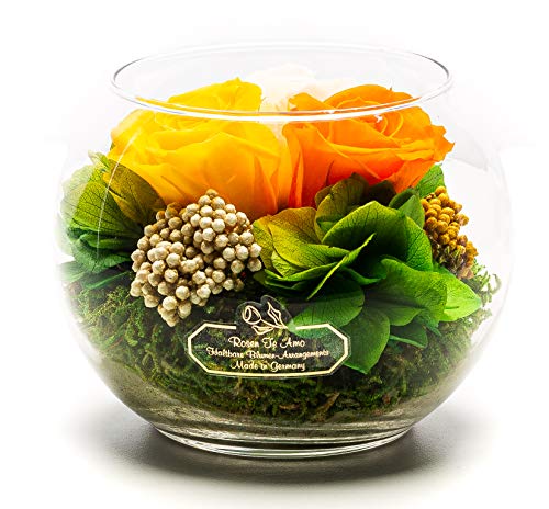 Konservierte Rosen im Glas