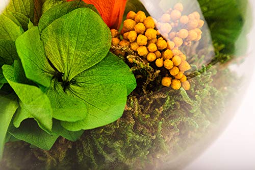 Konservierte Rosen im Glas Detail