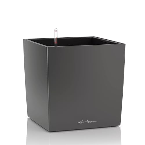 CUBE Premium Pflanzkubus