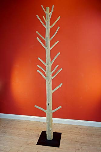 Mangosteen Garderobenbaum