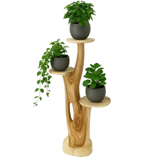 Skulpturaler Pflanzenständer aus Suar-Holz Detail