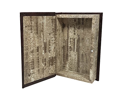 Antike Buchschatulle mit Geheimfach Detail