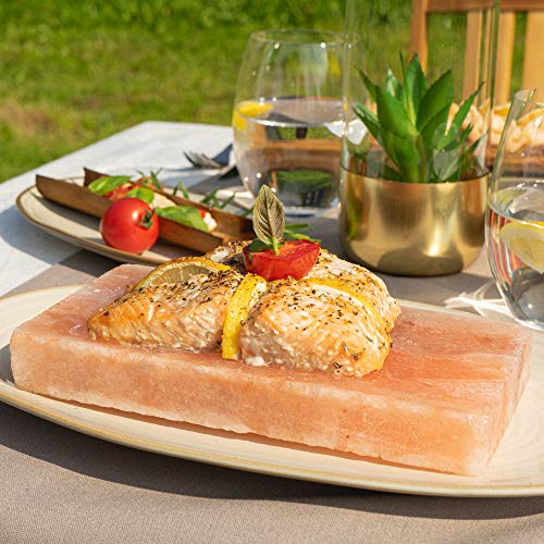 Himalaya-Salzstein zum Grillen