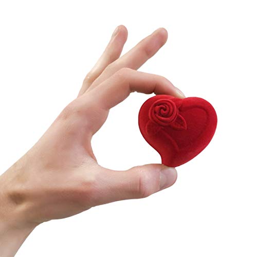 Campo del Cielo Meteorit Detail