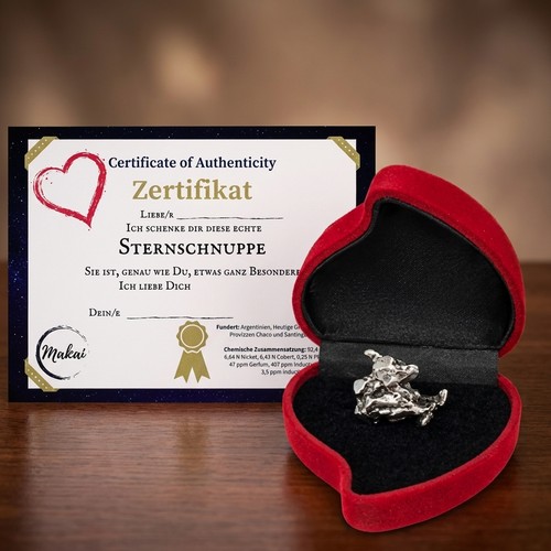 Campo del Cielo Meteorit