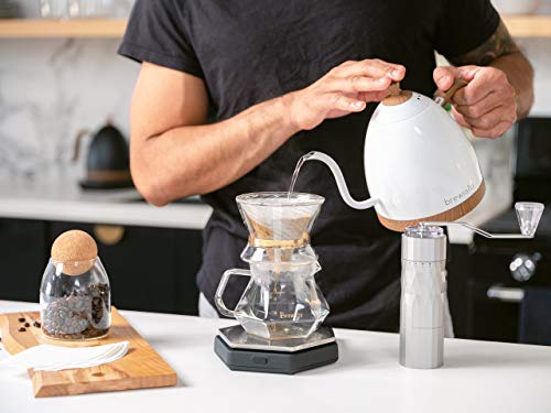 Brewista Artisan Wasserkocher Detail