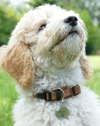 Gravierte Edelstahl-Hundemarke