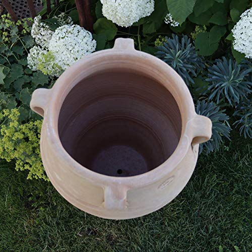 Terracotta-Amphore Datura Detail