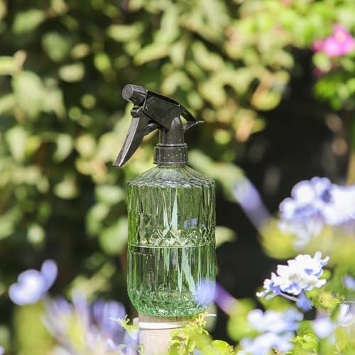 Eleganter Kristallglas-Pflanzensprüher