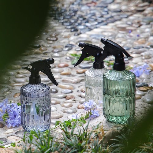 Eleganter Kristallglas-Pflanzensprüher Detail