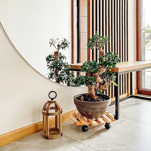 Pflanzenroller aus Kiefernholz