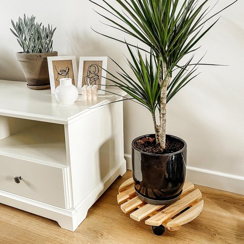 Pflanzenroller aus Kiefernholz Detail