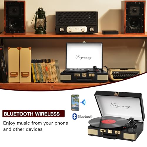 Trynnay Koffer-Plattenspieler Detail