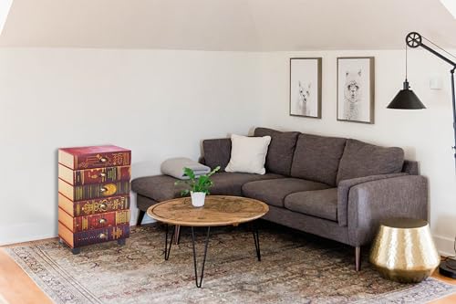 Bibliothek-Kommode in Buchoptik