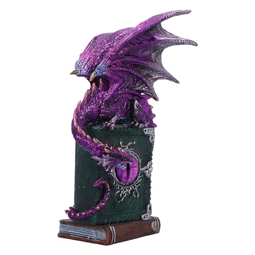 Mystischer Drache auf Zauberbüchern Detail