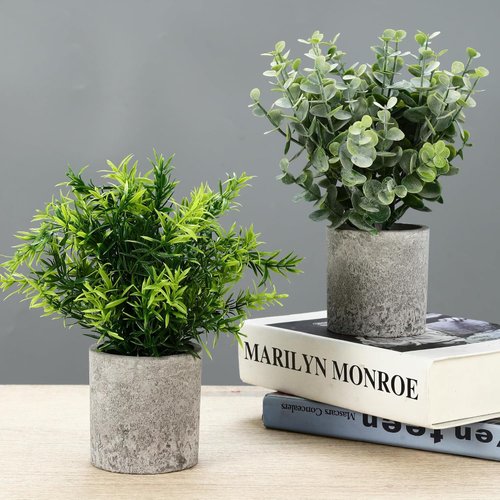 Kunstpflanzen-Quintett im Zement-Look Detail