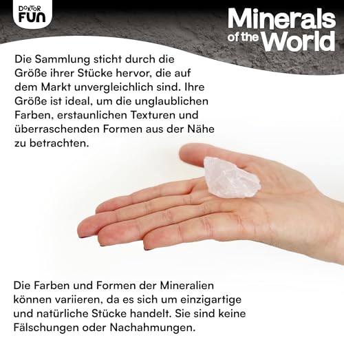 Mineralien-Kollektion Golden Collection Detail