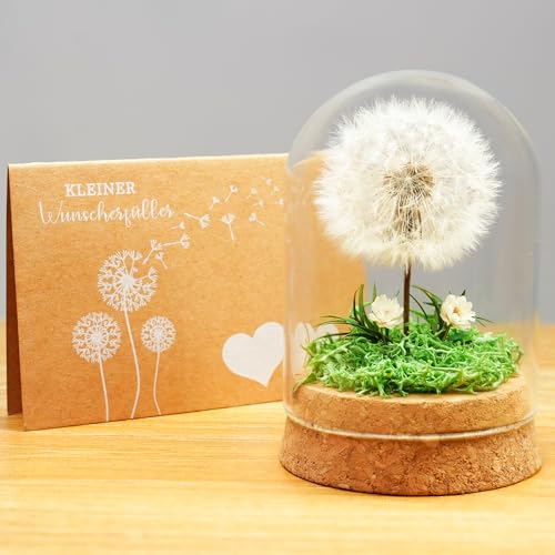 Pusteblume unter Glas