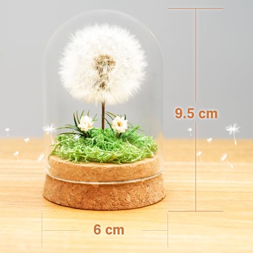 Pusteblume unter Glas Detail