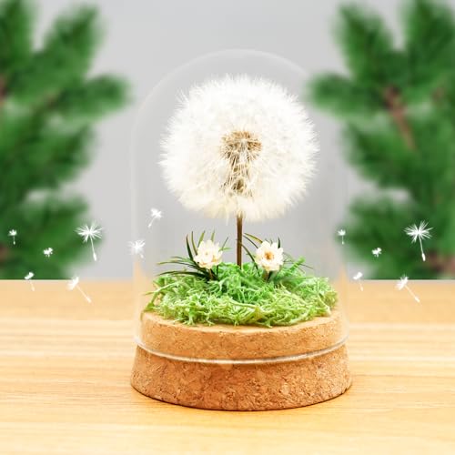 Pusteblume unter Glas Detail