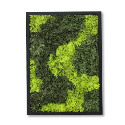 Lebendiges Moosbild aus konserviertem Rentiermoos