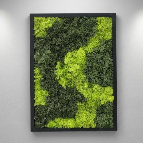 Lebendiges Moosbild aus konserviertem Rentiermoos