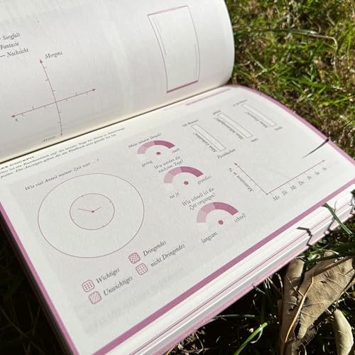 Alltagsgraph – Das visuelle Tagebuch Detail
