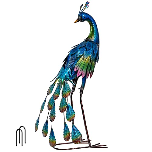 Metallischer Pfau in Regenbogenfarben