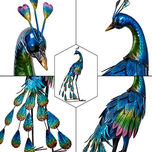 Metallischer Pfau in Regenbogenfarben Detail