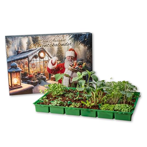 Botanischer Adventskalender mit Saatgut-Kollektion Detail